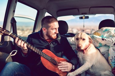 man playing guitar next to dog in van