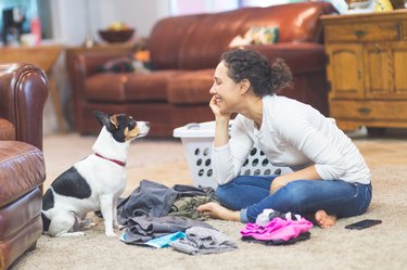 Woman in her 20s folds laundry on the living room floor while her adorable dog keeps her company