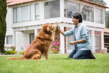 Man training a dog