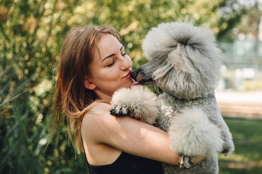 Beaming young woman gently holding in hands and kissing furry gray poodle