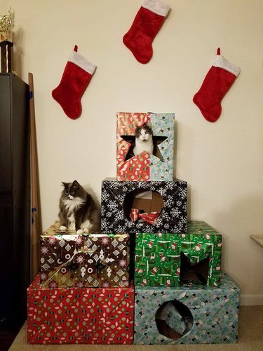 Two cats sitting on and in wrapped cardboard boxes that are shaped to look like a tree.