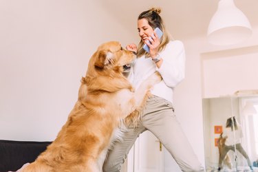 Italy, Young woman playing with dog at home