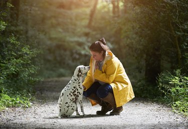 Woman with Dalmatian dog on woodland path.