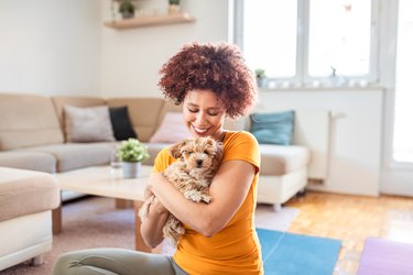 Happy woman cuddling her maltipoo puppy at home.