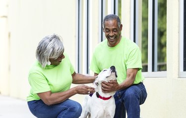 Two animal shelter volunteers converse kneel next to dog