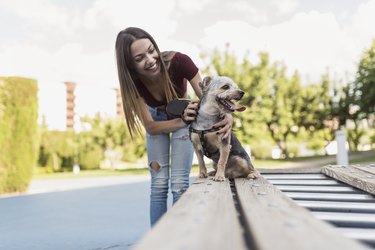 Beauty woman young training her dog in park attractions