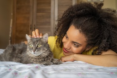 Young brown-skinned woman petting her gray cat